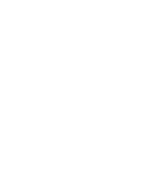 IFS blanc