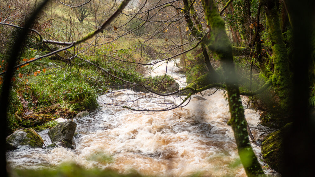 Discover the Irish adventure